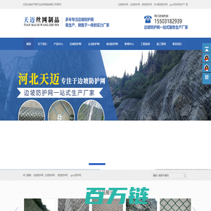边坡防护网_主动防护网_被动防护网_SNS柔性防护网_gps2防护网_安平县天迈丝网制品有限公司